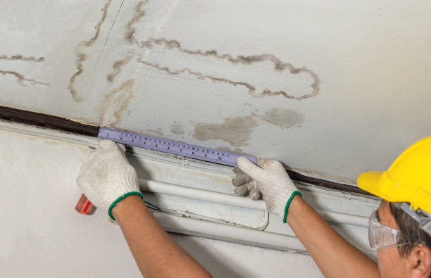 Reliable Structural Drying contractor in Rantoul, IL by Water Damage Irwin